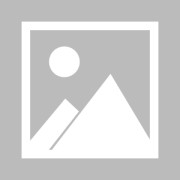 在线入口-德约：希望有挑战辛卡的第三人出现，不享受两周大师赛大满贯为重